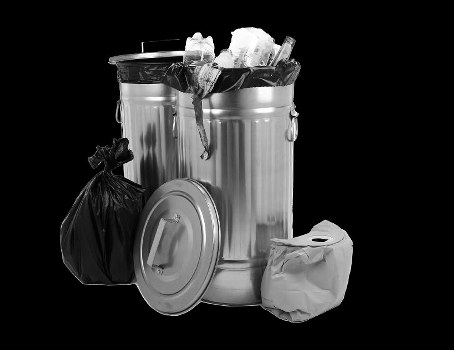 Community participating in waste management